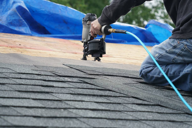 Best Roof Leak Repair  in Sterling, GA