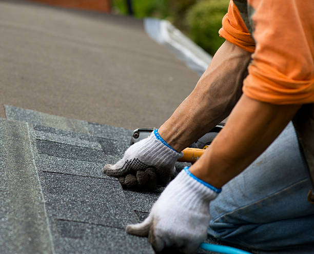 Best Gutter Installation and Roofing  in Sterling, GA