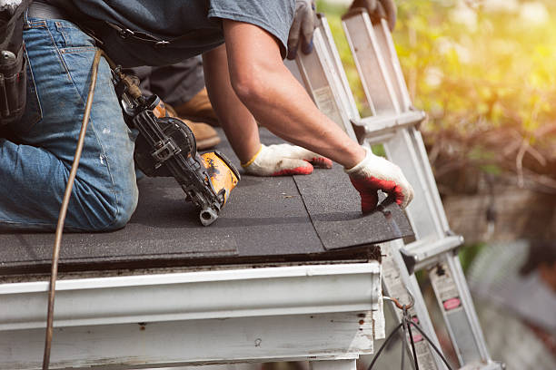 Best Roof Maintenance Services  in Sterling, GA