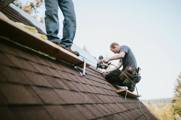 Best Flat Roof Repair Services  in Sterling, GA