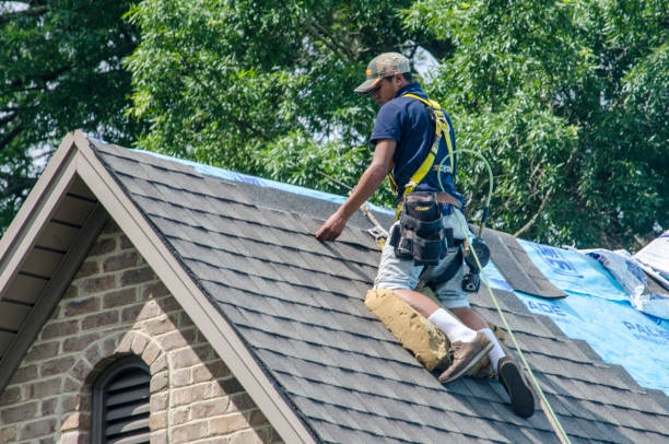 Best Roof Repair Services  in Sterling, GA